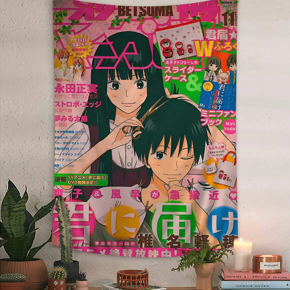 S80ab9acbb4fb4b198d16b6d4d61342a5W - Kimi ni Todoke Store